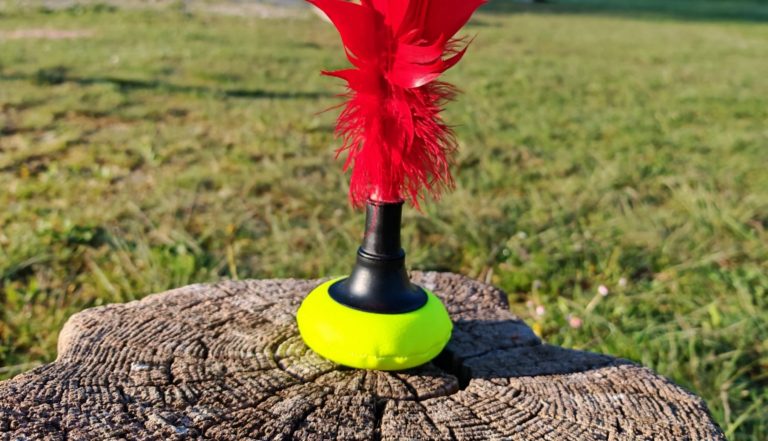 Indiaca – ausprobiert und für gut befunden!